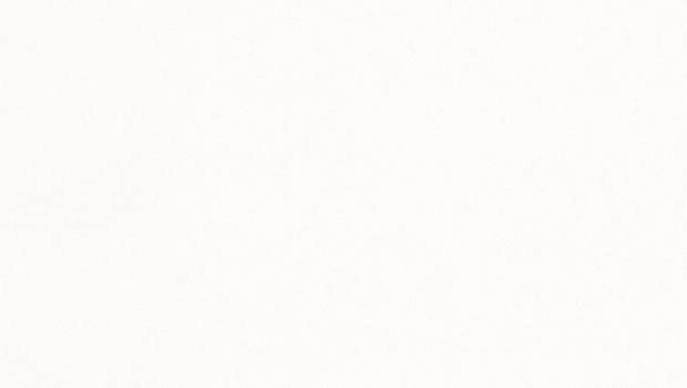 1141 Pure White (Polished)