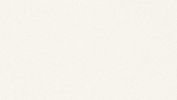 2141 Snow (Polished)
