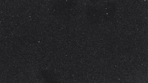3100 Jet Black (Polished)